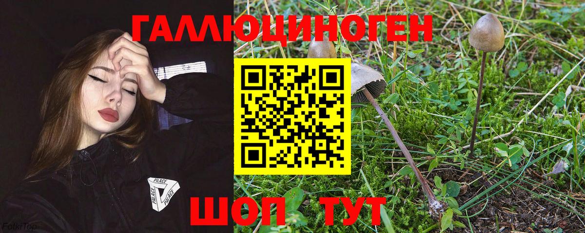 Псилоцибиновые грибы мухоморы  Вход с VPN  Пыть-Ях 